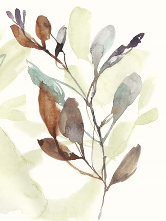 Framed Rusty Sienna Leaves II Print