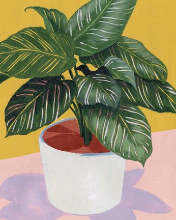 Framed Calethea I Print