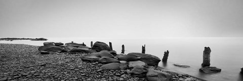 Framed Black &amp; White Water Panel I Print