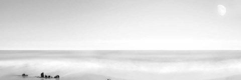 Framed Black &amp; White Water Panel XIV Print