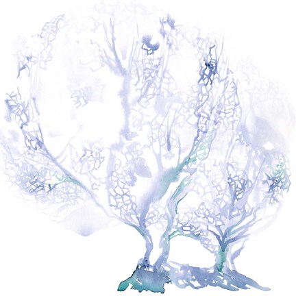 Framed Navy Sea Fan I Print