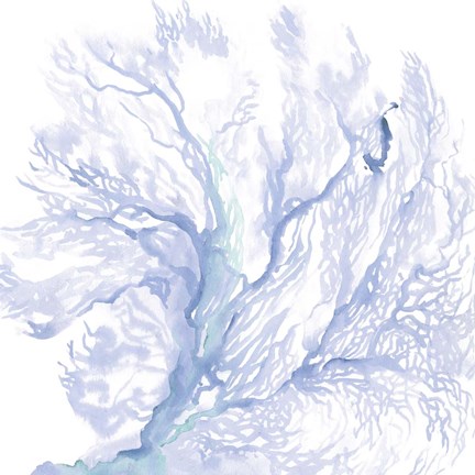 Framed Navy Sea Fan II Print