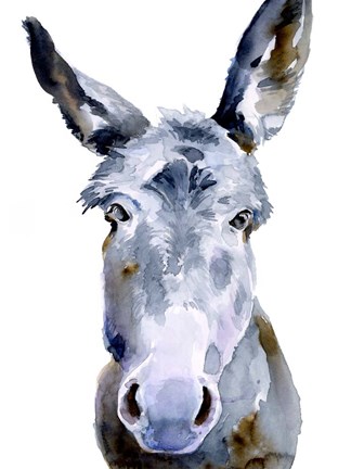 Framed Sweet Donkey II Print