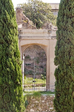 Framed Rome Landscape IV Print