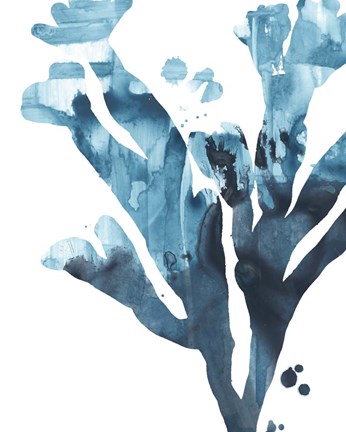 Framed Inkwash Kelp II Print