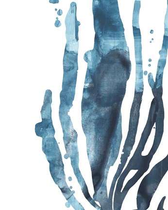 Framed Inkwash Kelp IV Print