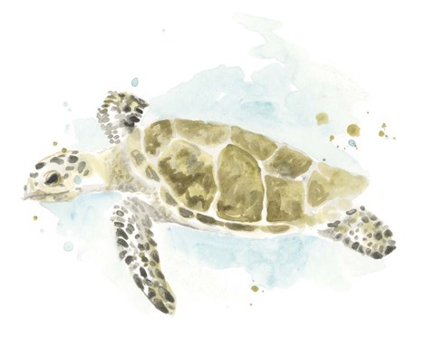 Framed Watercolor Sea Turtle Study II Print