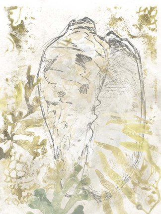Framed Verdant Shell Fresco IV Print