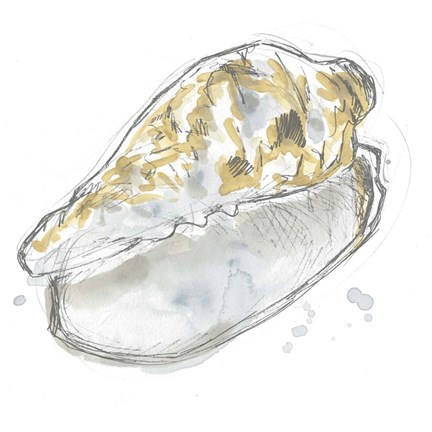 Framed Citron Shell Sketch IV Print