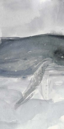 Framed Blue Whale Triptych II Print