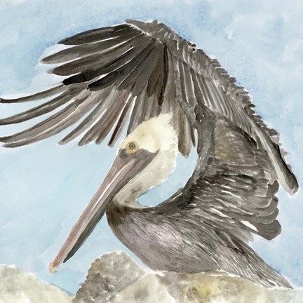 Framed Soft Brown Pelican II Print