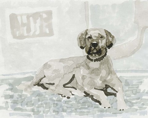 Framed Dog Study I Print
