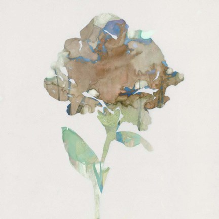 Framed Modern Bloom II Print