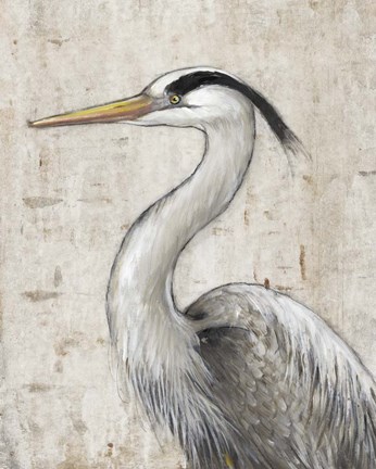 Framed Grey Heron II Print