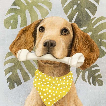 Framed Pet Life III Print