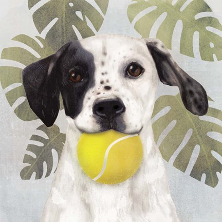 Framed Pet Life IV Print