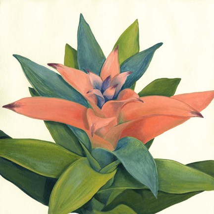 Framed Tropical IV Print