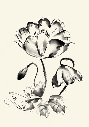 Framed Ink Wash Floral IV - Poppy Print