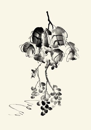 Framed Ink Wash Floral V - Grapes Print