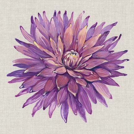 Framed Floral Portrait on Linen II Print