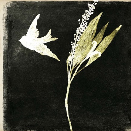 Framed Black Night II Print