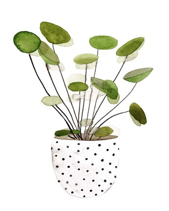 Framed Plant in a Pot II Print