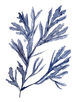 Framed Seaweed Under Water I Print