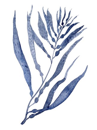 Framed Seaweed Under Water III Print