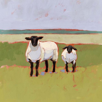 Framed Suffolk Sheep I Print