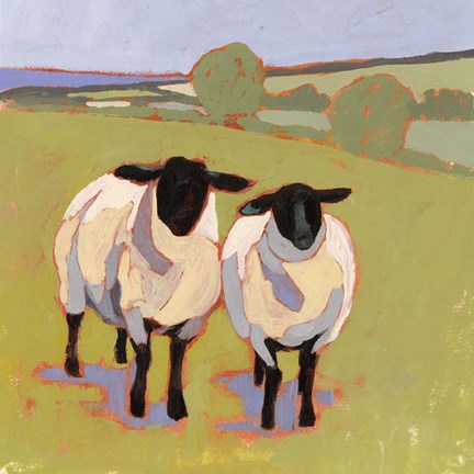 Framed Suffolk Sheep IV Print