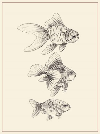 Framed Goldfish III Print