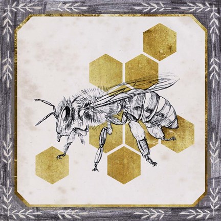 Framed Pursue Sweetness III Print