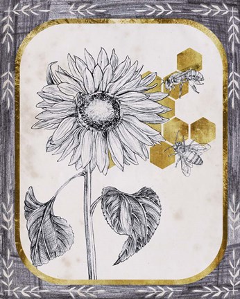 Framed Pursue Sweetness V Print