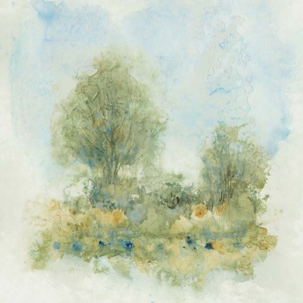 Framed Fluid Landscape II Print