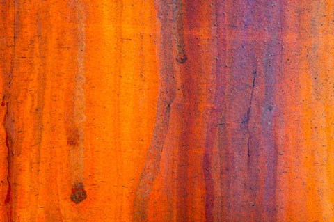Framed Details Of Rust And Paint On Metal 5 Print
