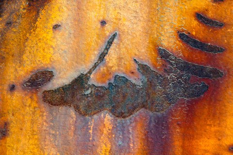 Framed Details Of Rust And Paint On Metal 6 Print