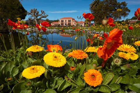 Framed Flowers And Blue Baths, Government Gardens, Rotorua, North Island, New Zealand Print