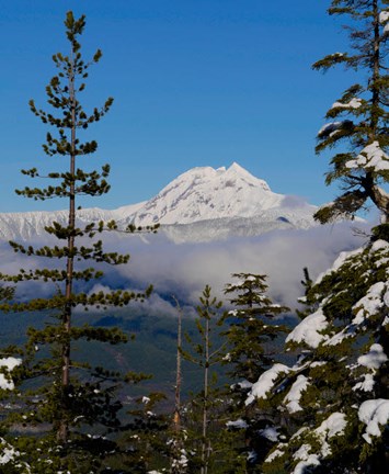 Framed Mount Garibaldi From The Chief Overlook At The Summit Of The Sea To Sky Gondola Print
