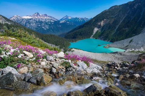 Framed British Columbia, Meltwater Stream Flows Past Wildflowers Into Upper Joffre Lake Print