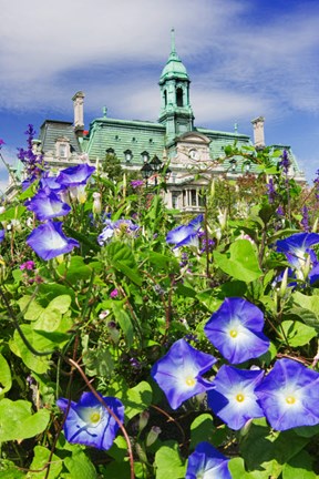 Framed USA, Montreal View Of City Hall Building Behind Flowers Print
