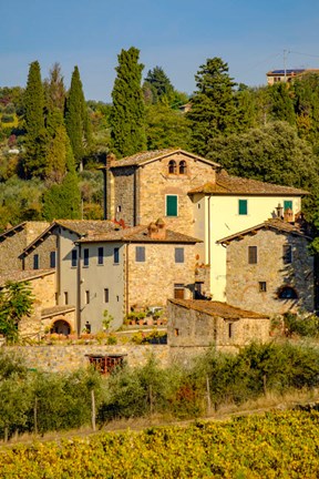 Framed Italy, Florence, Winery, Villa Print