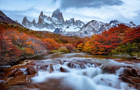 Framed Argentina, Los Glaciares National Park Mt Fitz Roy And Lenga Beech Trees In Fall Print