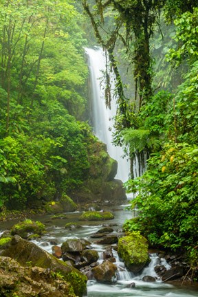 Framed Costa Rica, La Paz Waterfall Garden Rainforest Waterfall And Stream Print