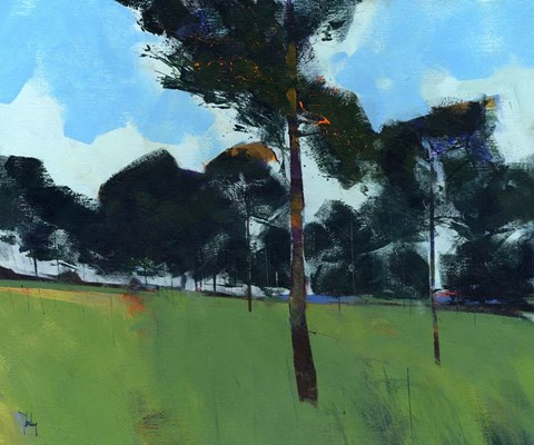 Framed Moorland Pines Print