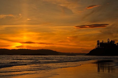 Framed Radiance Print