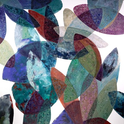 Framed Hojas Petreas III Print