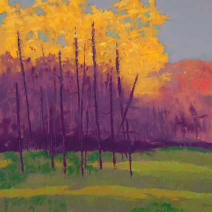 Framed Bright View No. 3 Print