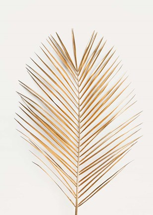 Framed Palm Leaf Gold Print