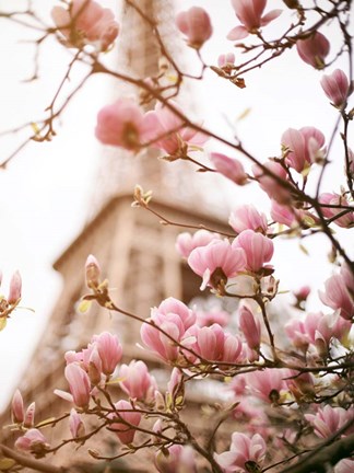 Framed Paris Dreams 1 Print