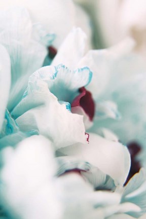 Framed Paris Petals 2 Print